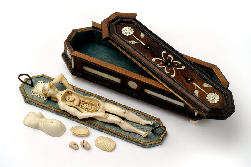 Anatomisches Lehrmodell einer schwangeren Frau, Stephan Zick Nürnberg um 1680; © Kunstkammer Georg Laue, München
